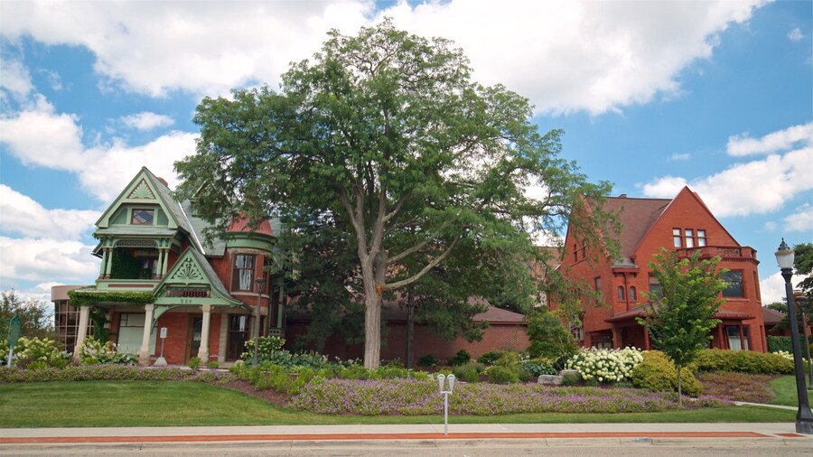 Rogers-Carrier House showing wild flowers and a house