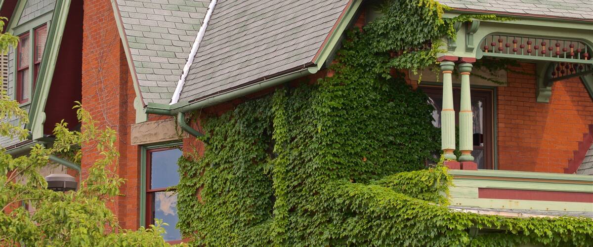 Rogers-Carrier House