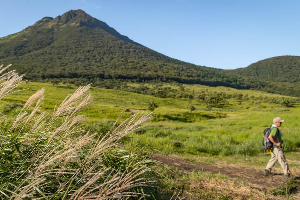A hiker walking on a trail with a mountain in the background.