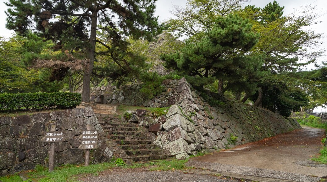 Hiji Castle featuring a garden