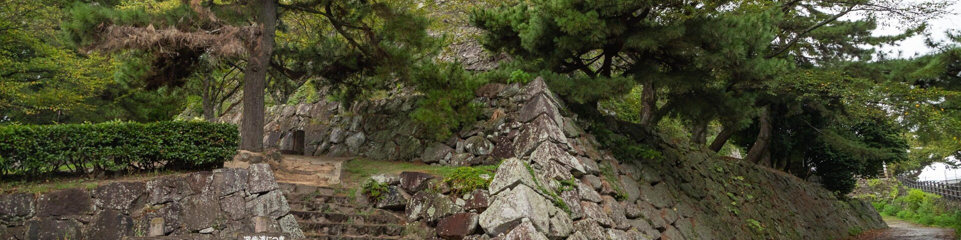 Hiji Castle featuring a garden