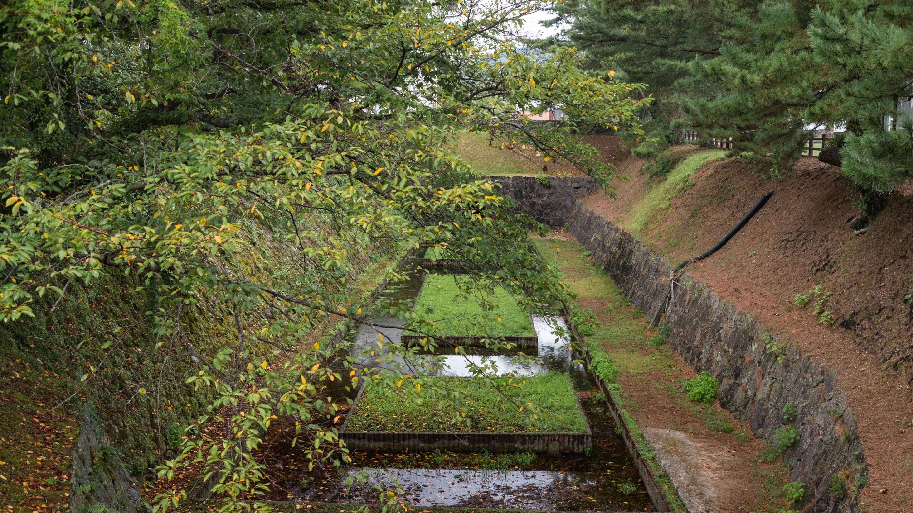 Oita which includes a river or creek and a garden