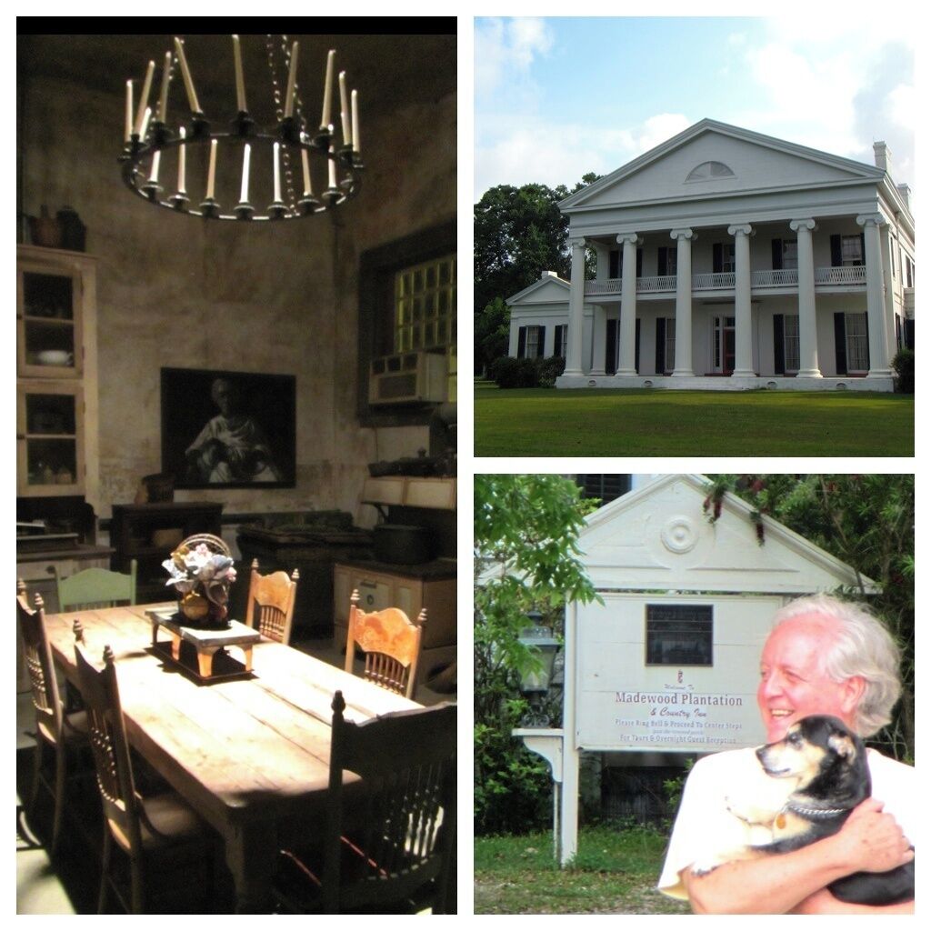 Our gracious New Orleans society proprietor, Keith Marshall, pictured here, went to Oxford with Bill Clinton, and talks about the dog wedding he recently attended at a fellow historic plantation owner's house.  He has a column in the TImes-Picayune, and knows how to tell a slow meandering story, like the Mississippi.  He's turned his manor into a elegantly rustic and warm B&B.  We dined al fresco and ate a roast suckling pig, splayed out in the back gardens all afternoon, while a New Orleans Zydeco band played.