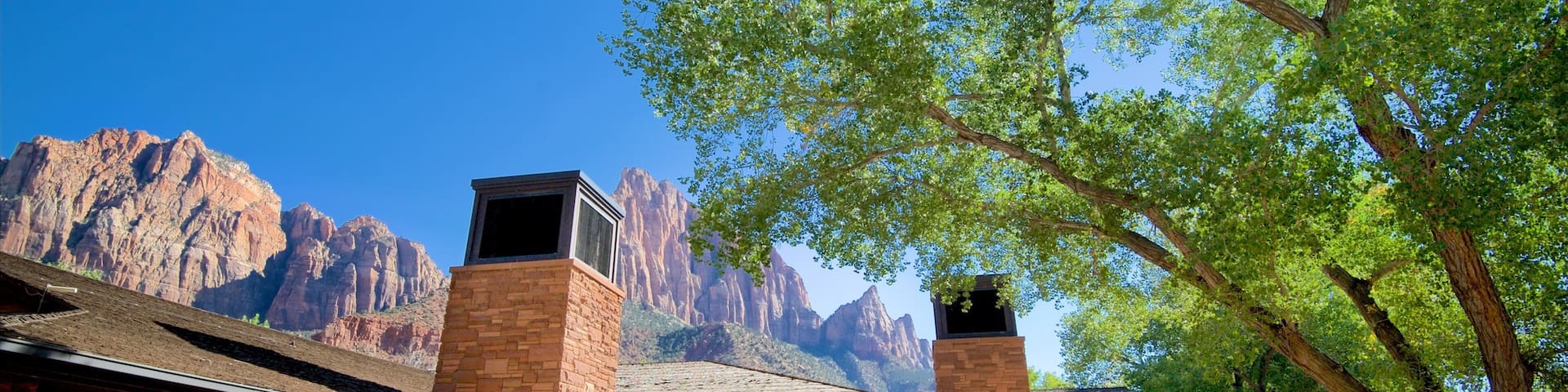 Zion National Park featuring mountains