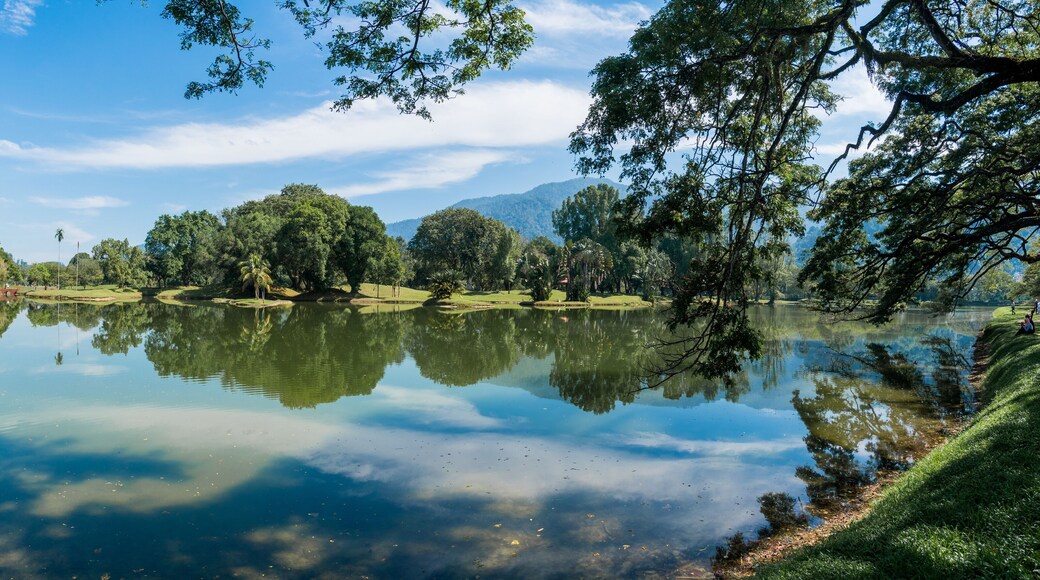 Distrito de Larut y Matang