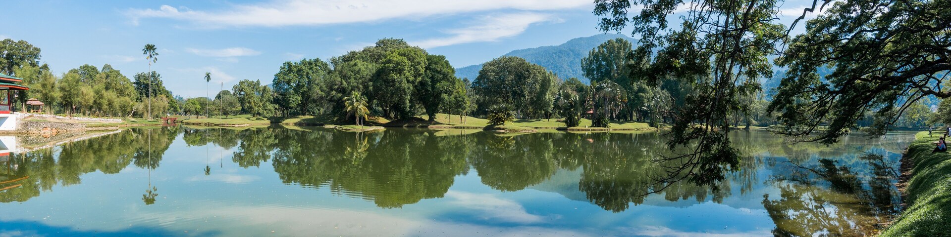 Beautiful landscape of lake and trees in a oldest public park in Malaysia known as Taiping Lake Garden.