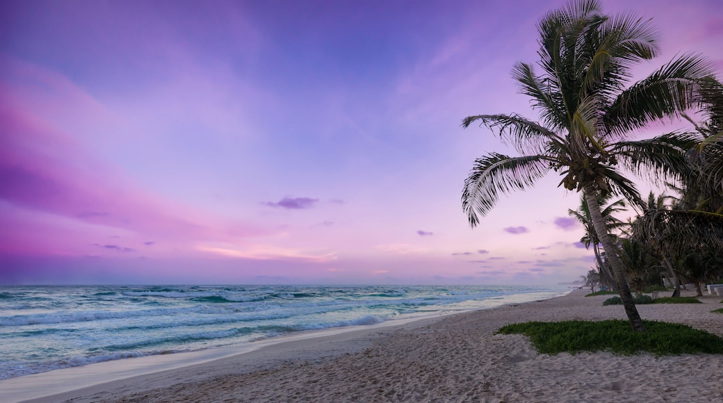 Colorful sunset over Tulum beach, Mexico, Shutterstock ID 664142827, Purchase Order: -