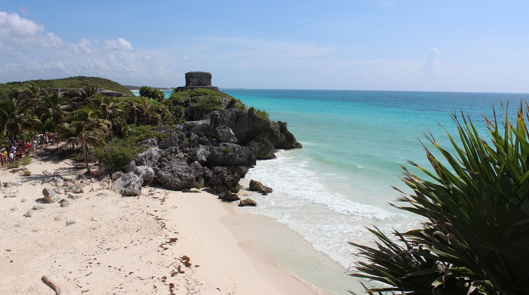 0_be298ff4-3e10-481f-b203-5c0b43286fa5_raw