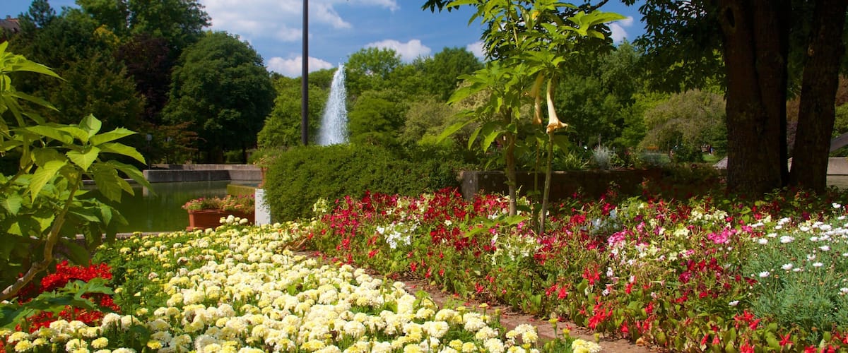 Luxemburg som visar en trädgård och blommor