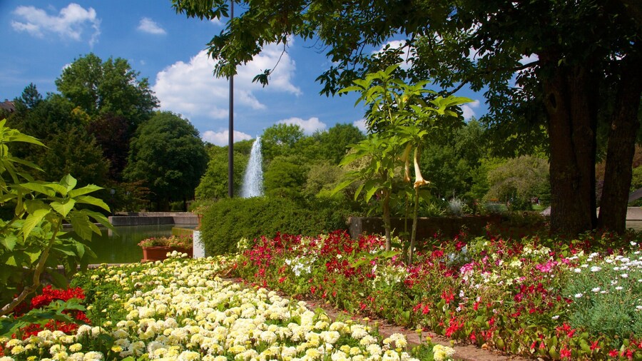 Luxembourg featuring a garden and flowers