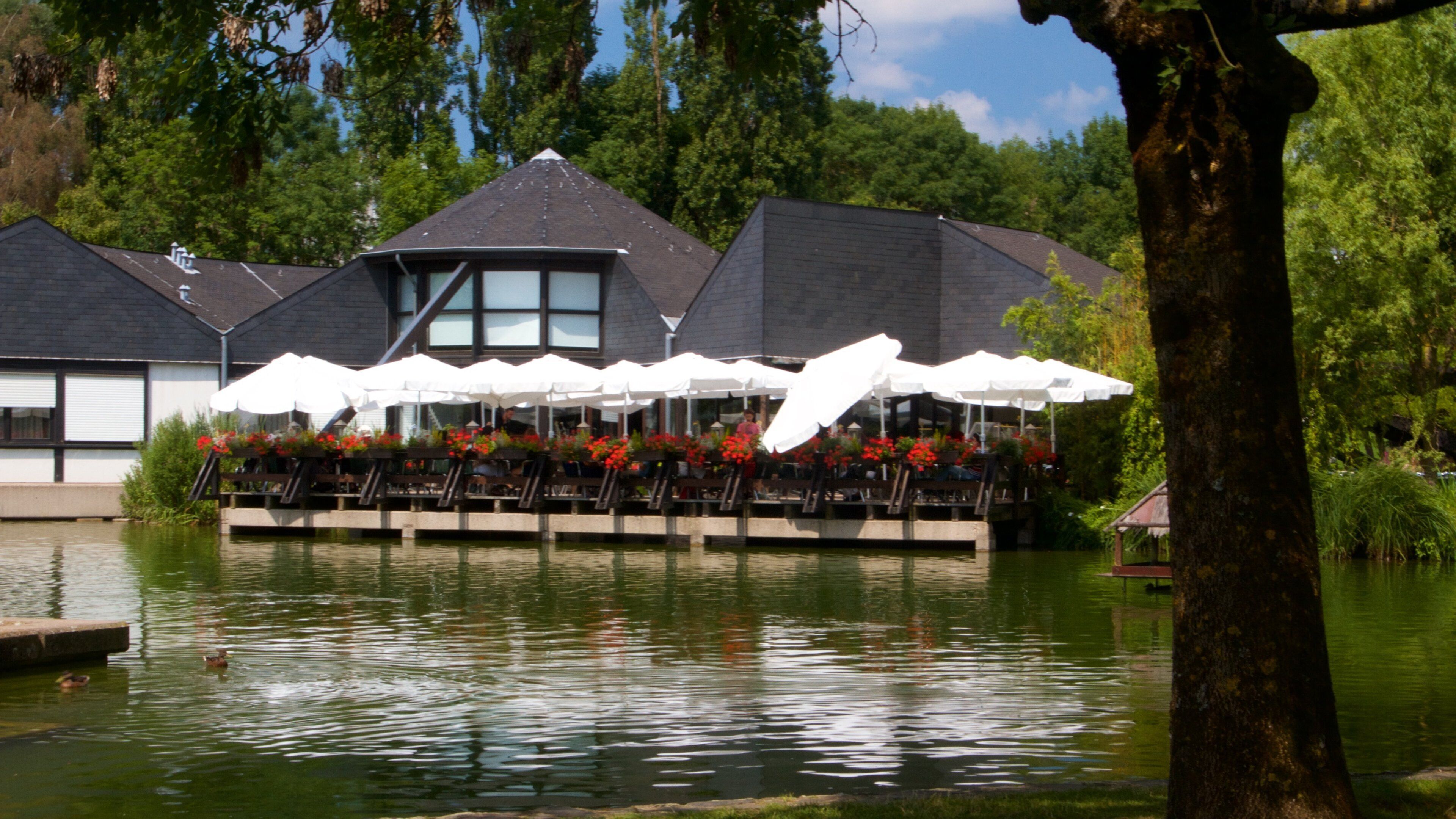 Luxemburgo que incluye un estanque y un lago o abrevadero