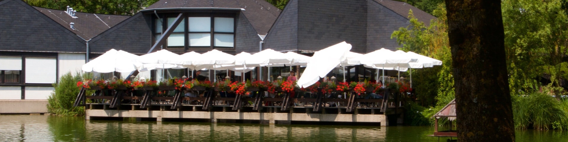 Lussemburgo mostrando lago o sorgente d\'acqua e laghetto