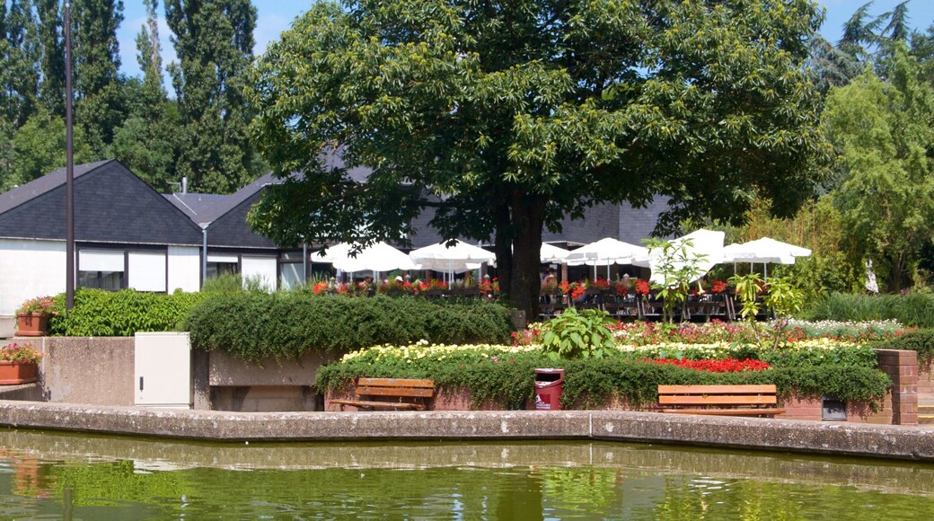 Luxembourg featuring a garden and a pond
