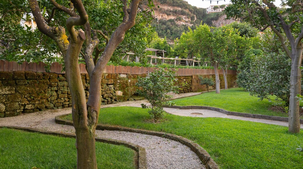 Sorrento Foundation showing a garden