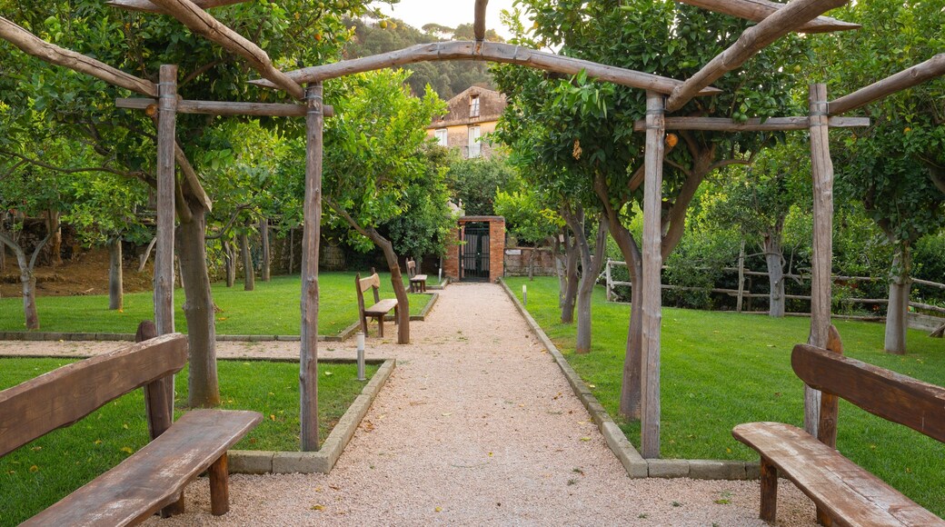 Sorrento Foundation featuring a garden