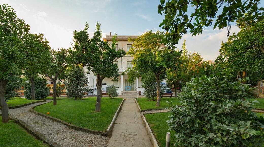 Sorrento Foundation featuring a sunset, a garden and a house