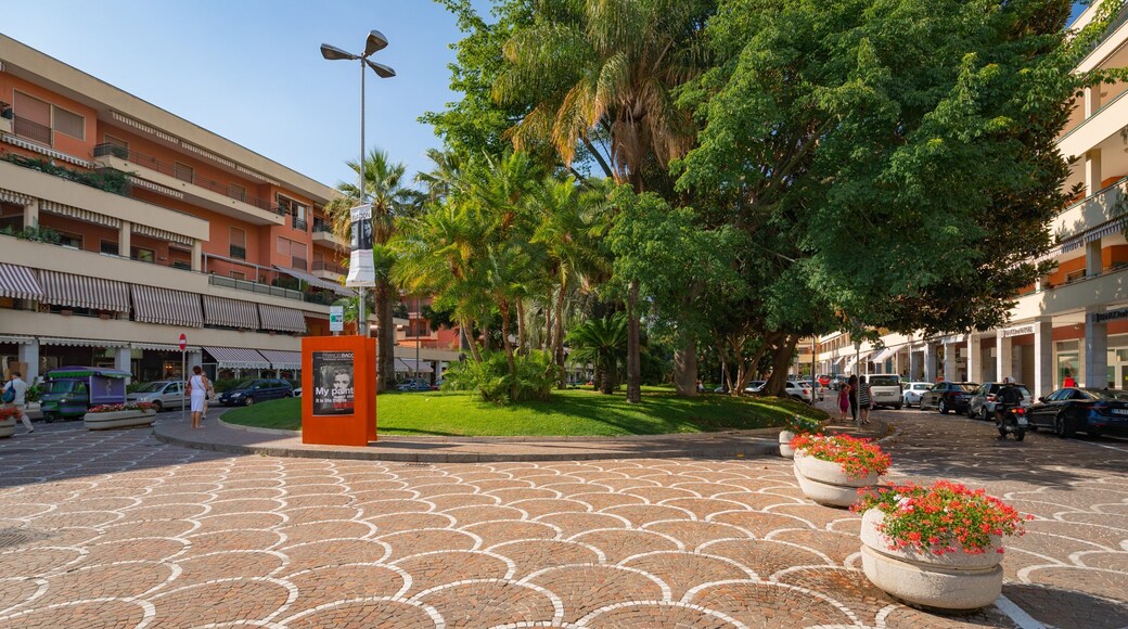 Piazza Lauro featuring a garden and flowers