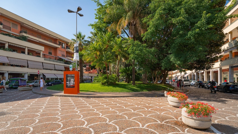 Piazza Lauro featuring a garden and flowers