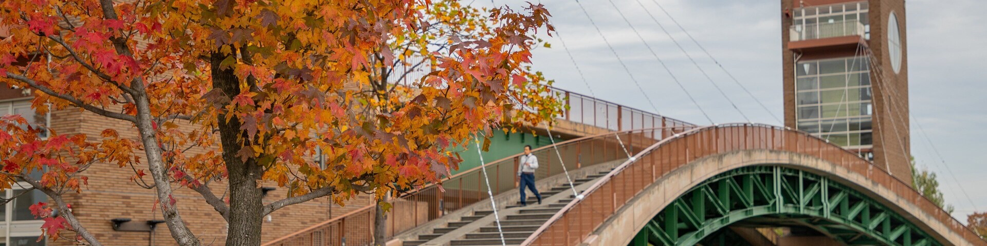 Toyama Prefecture which includes a bridge and a river or creek