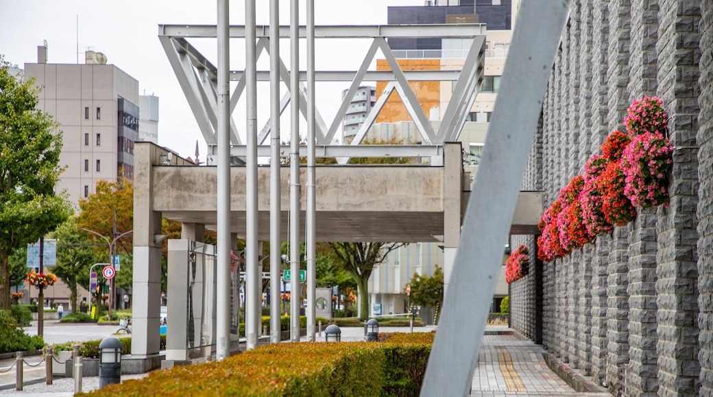 Toyama City Hall Observation Tower