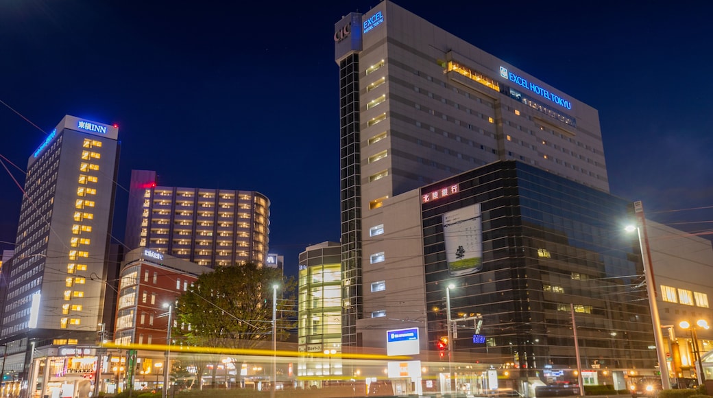 Toyama which includes a city and night scenes