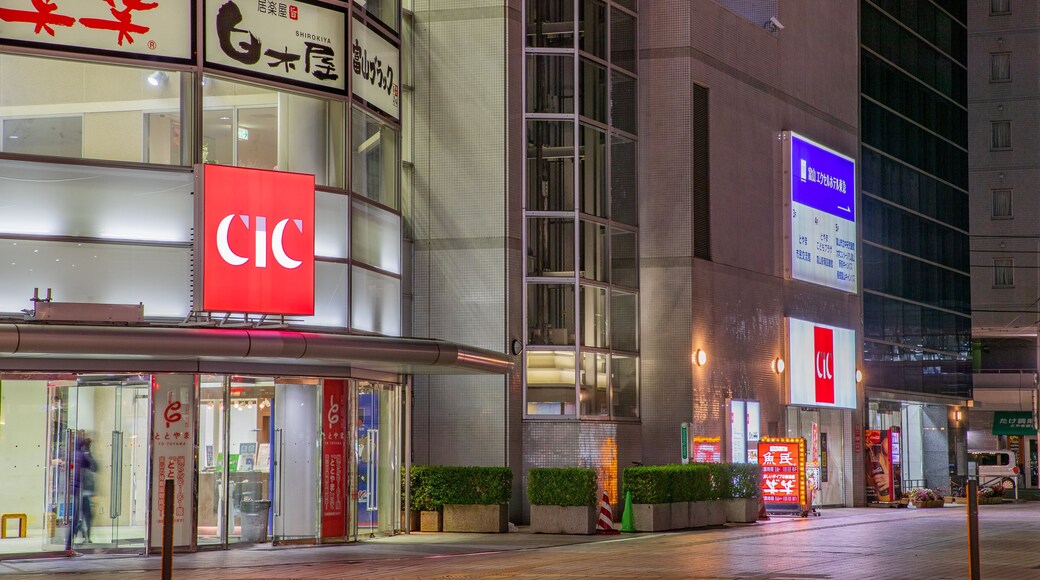CiC Toyama featuring night scenes and signage