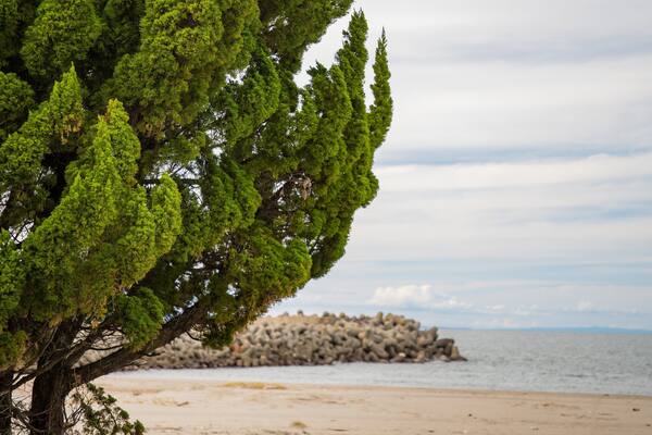 Iwase Beach showing a beach and general coastal views