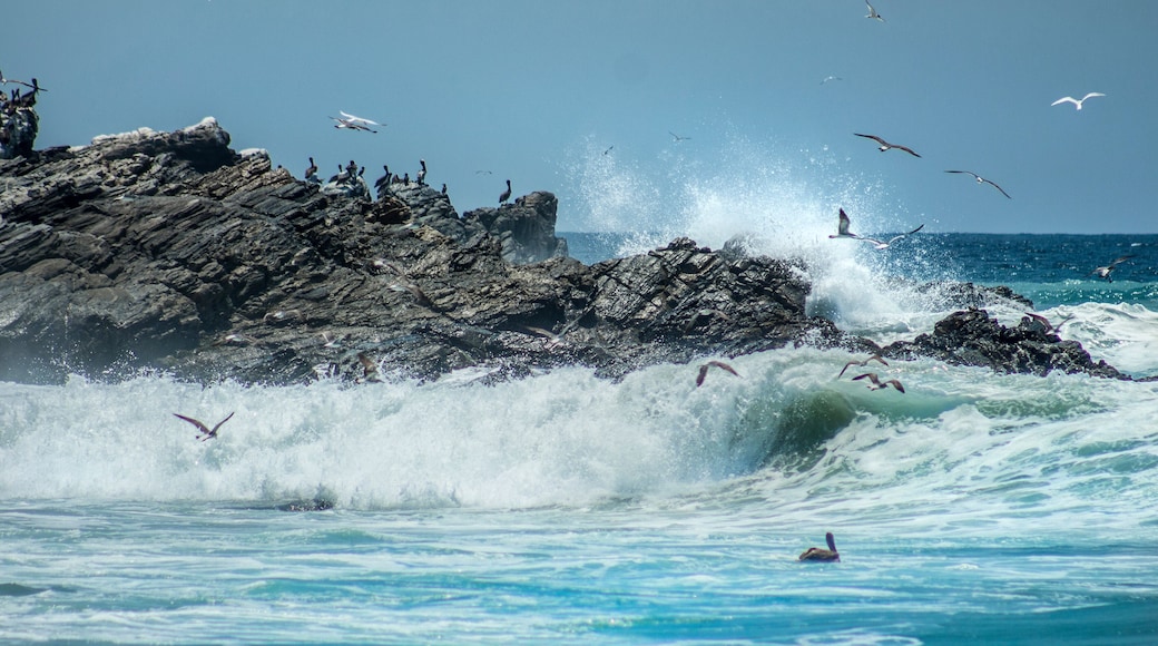 Playa Piedras Pintas