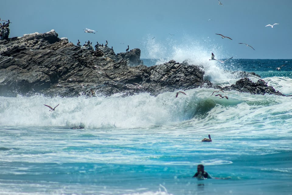 Una costa rocosa con olas rompiendo contra las rocas y gaviotas volando por encima.