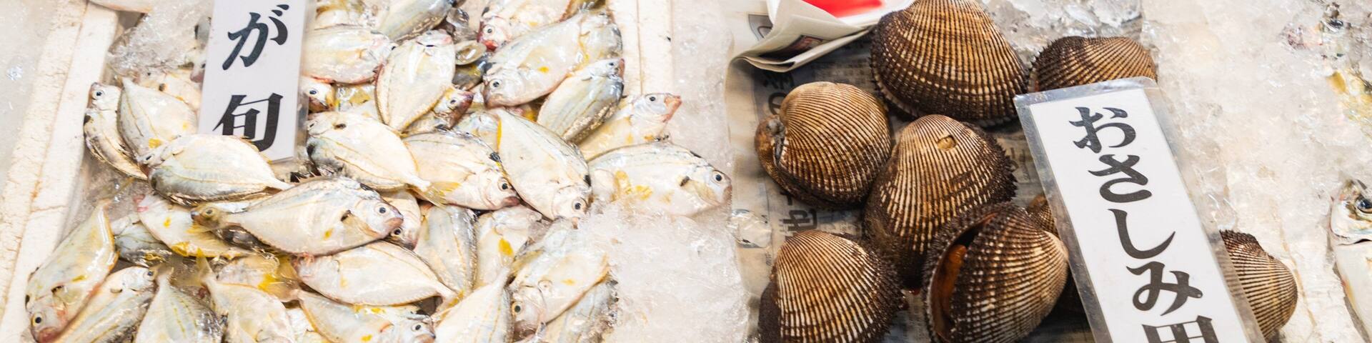 A seafood market with fish and shellfish on ice.