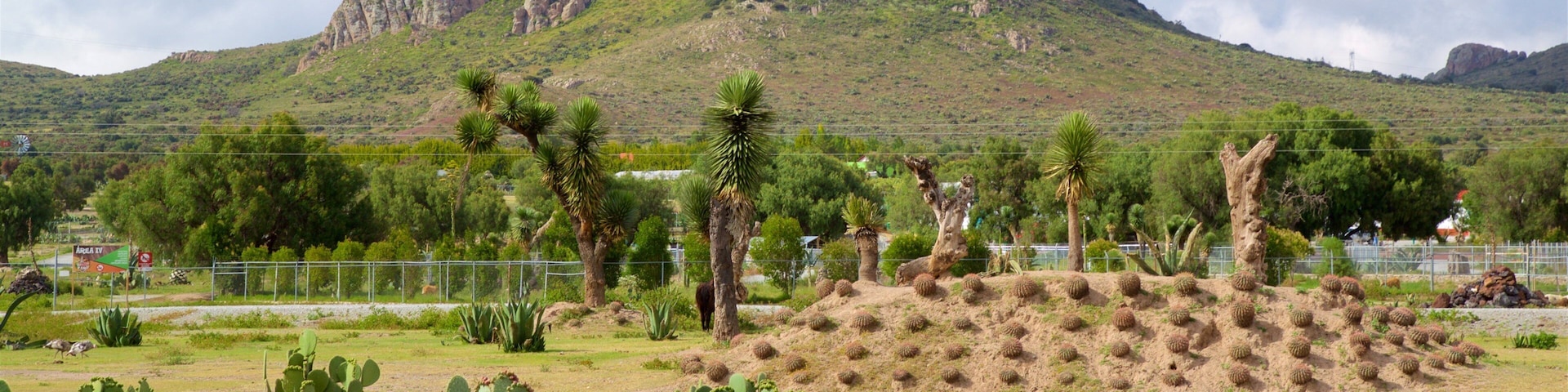 Tuzoofari Zoo which includes tranquil scenes