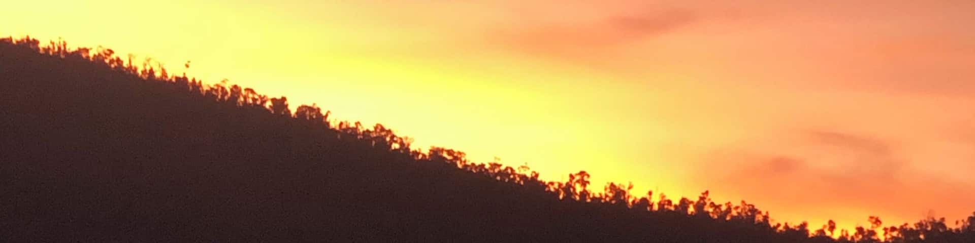 Spent 5 days doing nothing on this remote island, part of the Whitsundays. Perfect for anyone who wants peace and quiet with access to hiking trails, beaches and the most beautiful sunset!