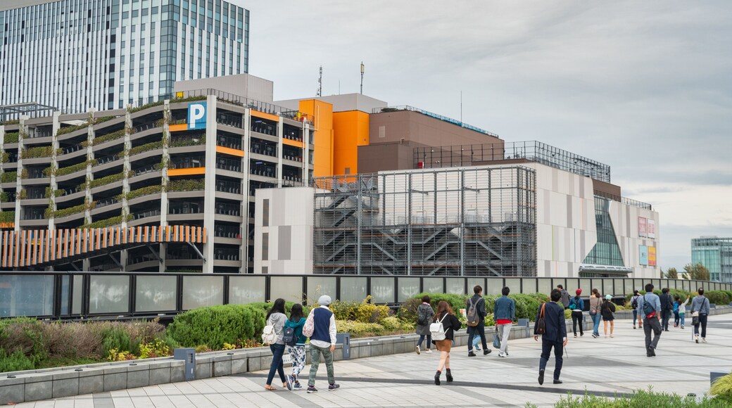 DiverCity Tokyo Plaza which includes a city and street scenes