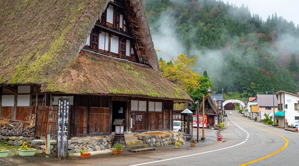 Nanto which includes a small town or village and heritage elements