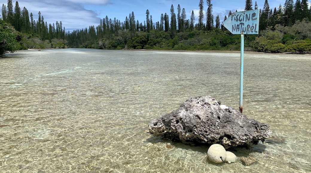 Wonderful scenery... fun swimming spot. Bring a snorkel!