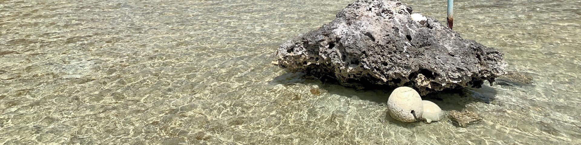Wonderful scenery... fun swimming spot. Bring a snorkel!
