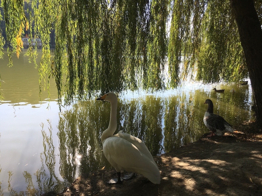 Отличное уединенное от городов место для отдыха