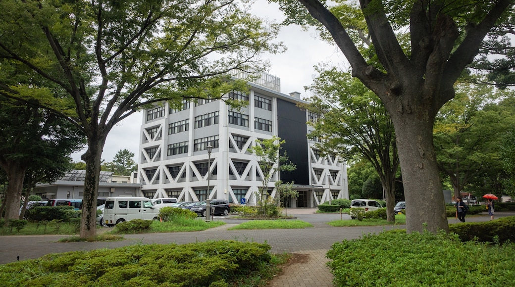 Chiba University