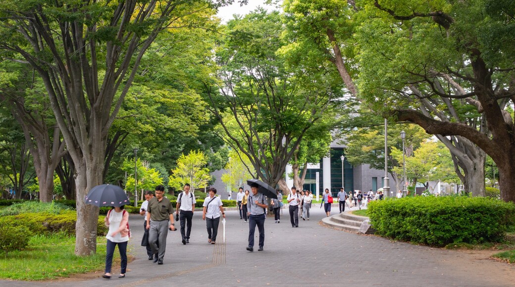 Chiba University