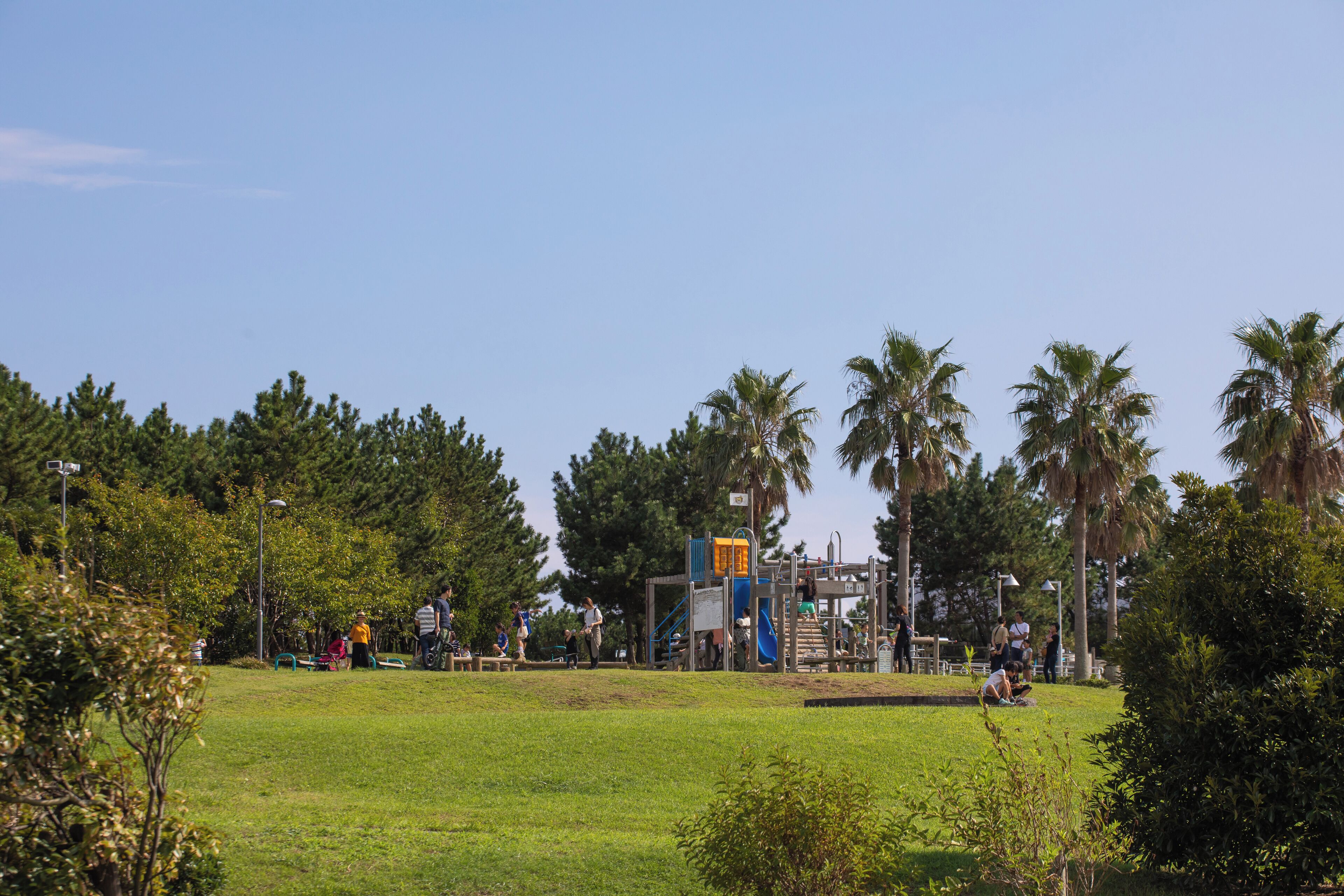 Urayasu_UrayasushiPark_553248621582419800_3