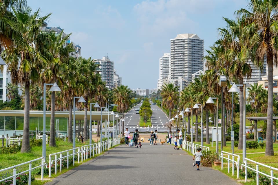A pathway lined with palm trees and street lamps, leading towards tall buildings in the distance.