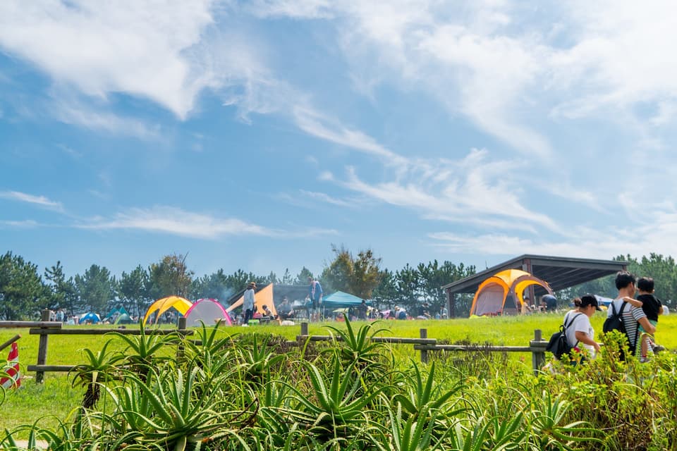 A grassy field with tents and people.