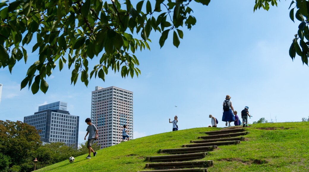 Wakashio Park which includes a park