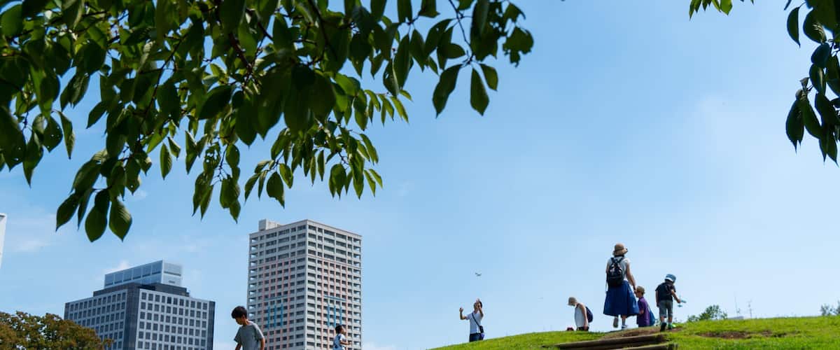 Wakashio Park which includes a park