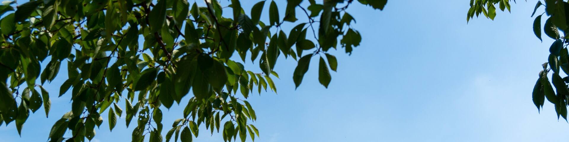 Wakashio Park which includes a park