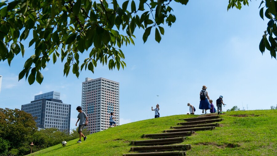 Wakashio Park which includes a park
