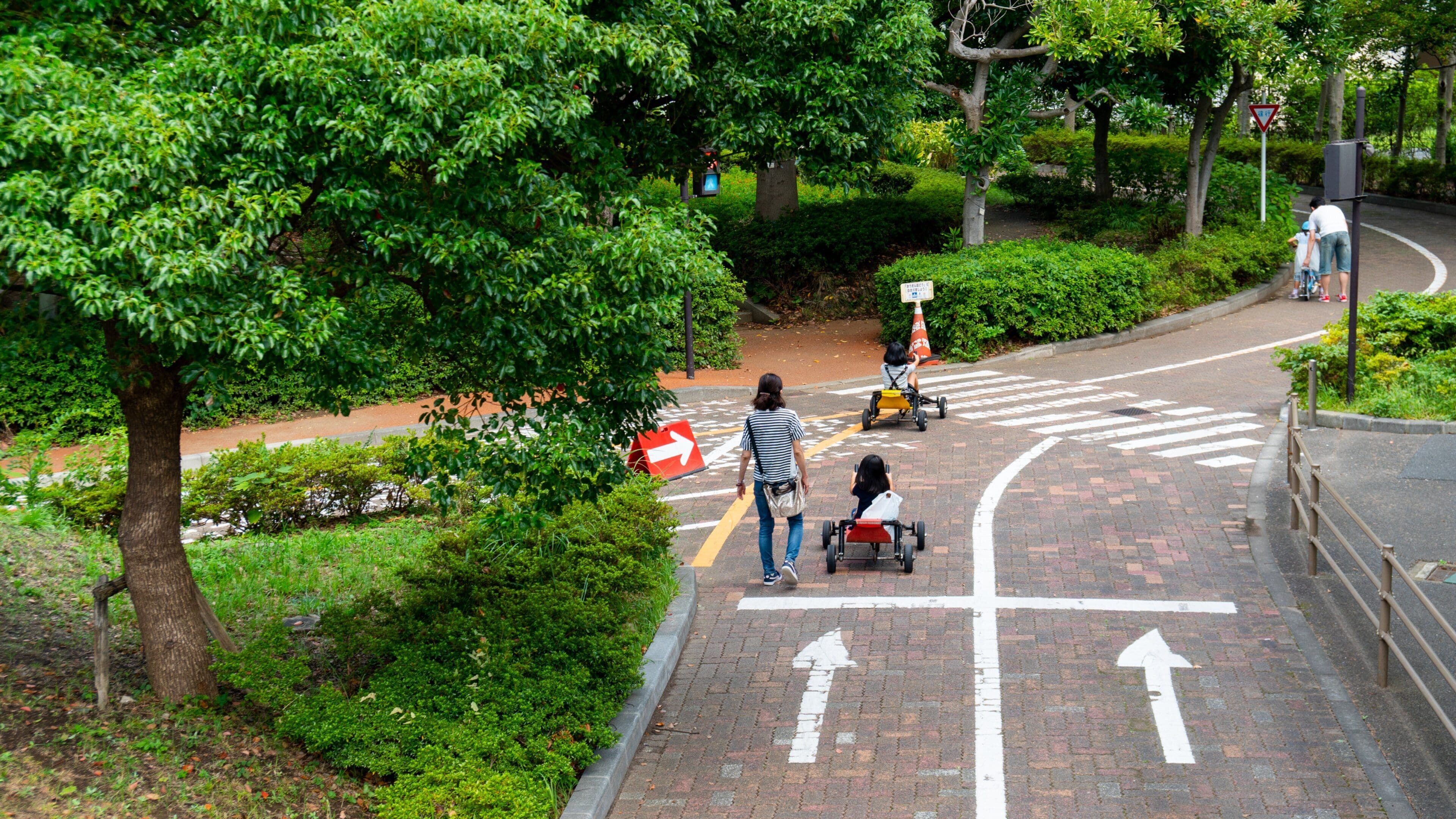 Wakashio Park showing a garden