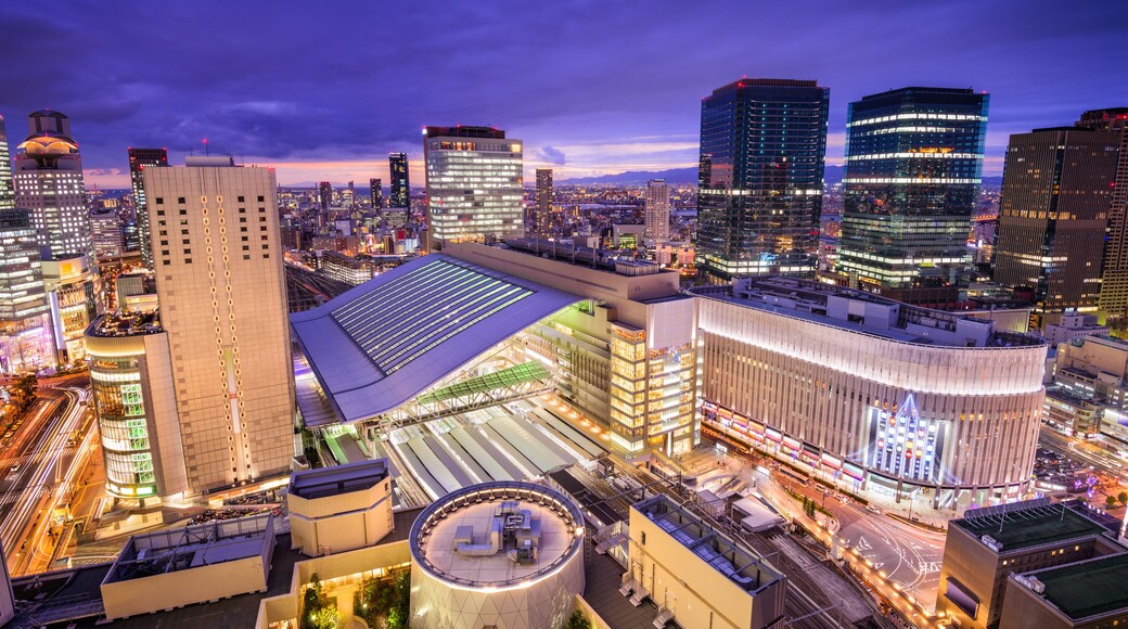 Centro comercial Osaka Station City