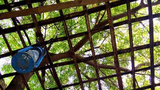 The blue lamp stands out so beautifully! Hill fort - Kesroli is an amazing property to chill out with you friends and family but please do not visit the fort in summers... rest, staying here is a bliss... its like going back to the era of kings and queens!
#Blue
#Blue lamp
#rustic blue
#Blue love
#Pop out blue