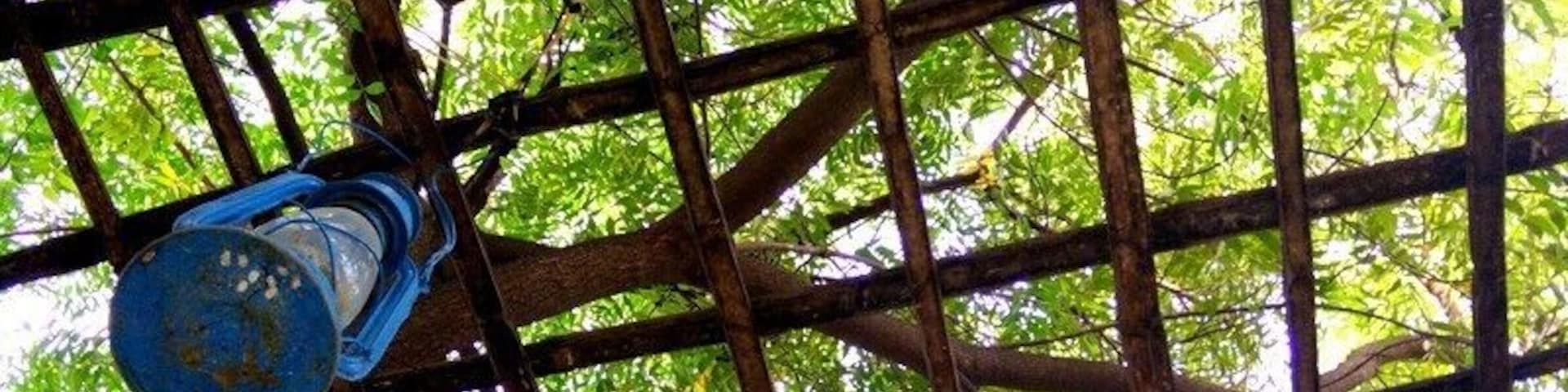 The blue lamp stands out so beautifully! Hill fort - Kesroli is an amazing property to chill out with you friends and family but please do not visit the fort in summers... rest, staying here is a bliss... its like going back to the era of kings and queens!
#Blue
#Blue lamp
#rustic blue
#Blue love
#Pop out blue